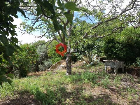 Quinta de 10580m2 para remodelar em Sortelha, Sabugal