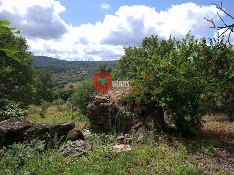 Quinta de 10580m2 para remodelar em Sortelha, Sabugal