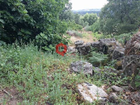 Quinta de 10580m2 para remodelar em Sortelha, Sabugal