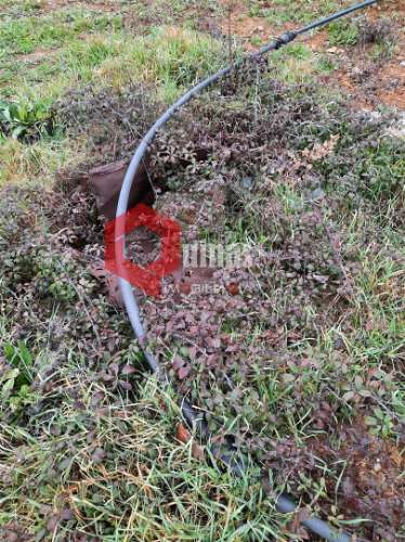 Lote para Construção no Sabugal.