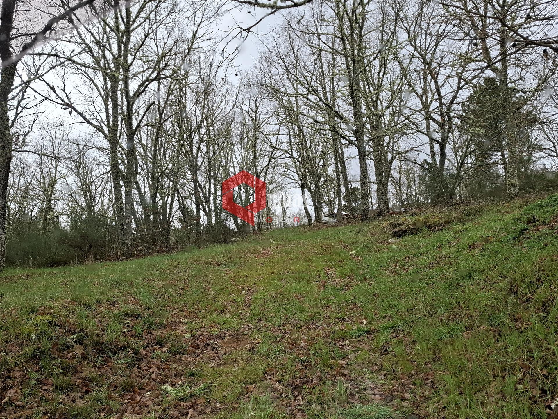 Terreno agricola para construção agricola.