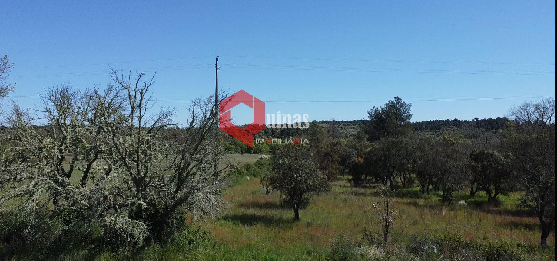 Terreno Rústico  Venda em Malpartida e Vale de Coelha,Almeida
