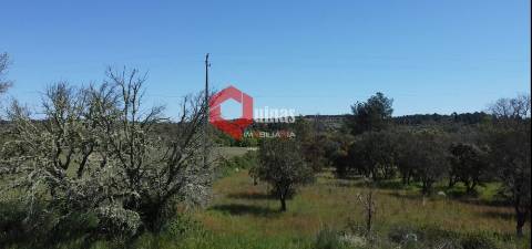 Terreno Rústico  Venda em Malpartida e Vale de Coelha,Almeida
