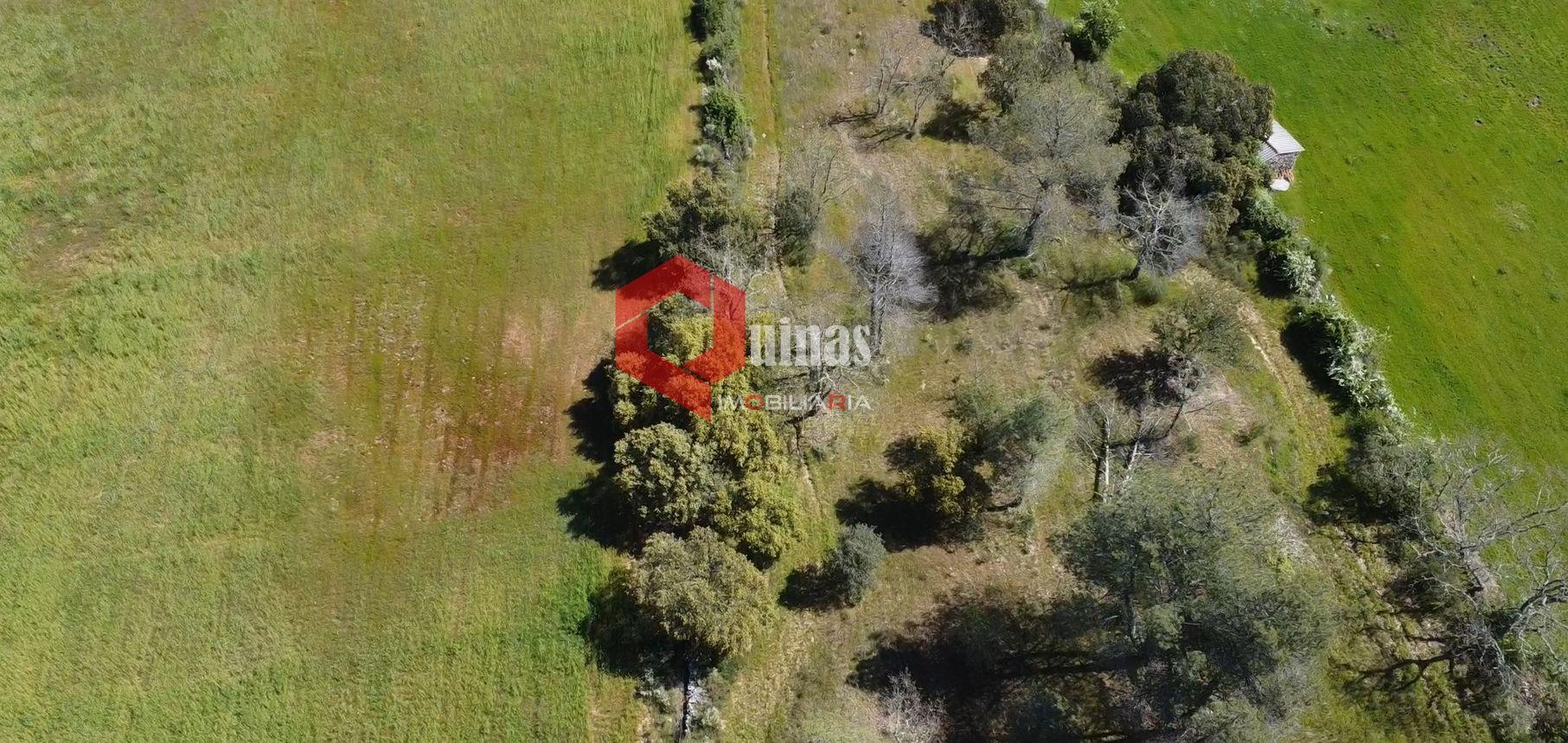 Terreno Rústico  Venda em Malpartida e Vale de Coelha,Almeida