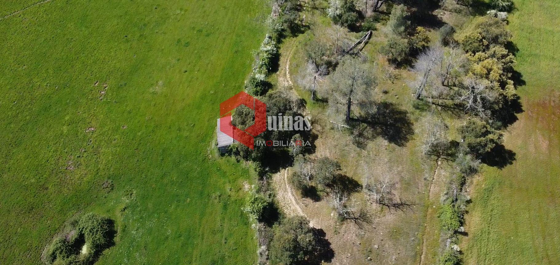 Terreno Rústico  Venda em Malpartida e Vale de Coelha,Almeida