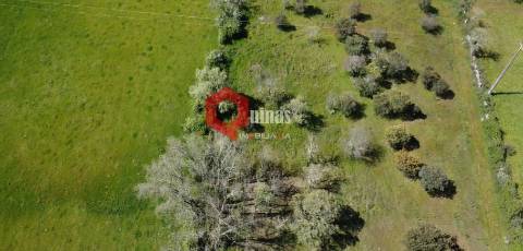 Terreno Rústico  Venda em Malpartida e Vale de Coelha,Almeida