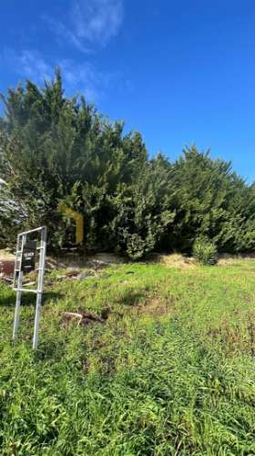 Lote de Luxo com Vista de Golfe na Quinta da Beloura – Projeto Aprovado pela APQB