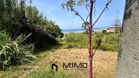 Terreno Para Construção na Murtinheira com Vista Panorâmica