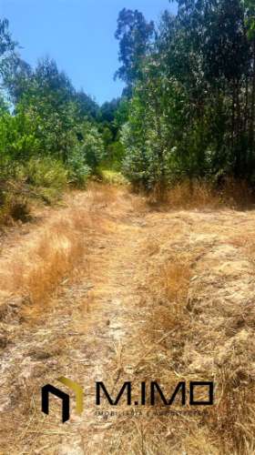 Terreno com 1.660m2 em Quiaios
