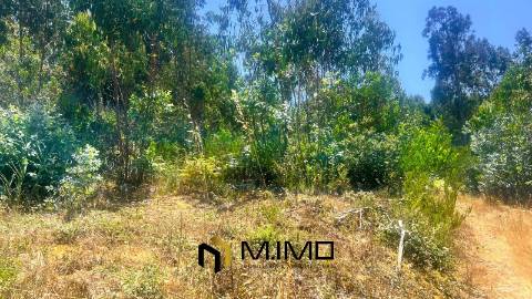 Terreno com 1.660m2 em Quiaios