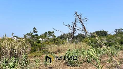 Terreno Para Construção  Venda em Quiaios,Figueira da Foz