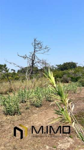 Terreno Para Construção  Venda em Quiaios,Figueira da Foz
