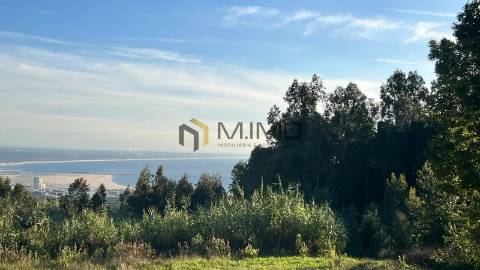 Lote de Terreno  Venda em Buarcos e São Julião,Figueira da Foz