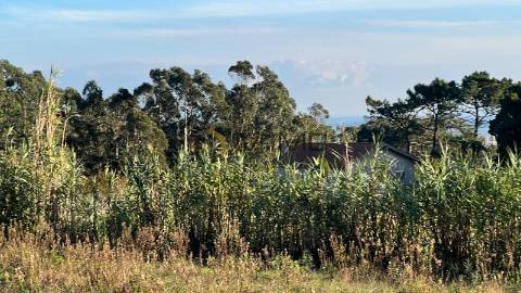Lote de Terreno  Venda em Buarcos e São Julião,Figueira da Foz