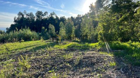 Lote de Terreno  Venda em Buarcos e São Julião,Figueira da Foz