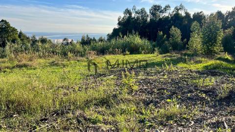 Lote de Terreno  Venda em Buarcos e São Julião,Figueira da Foz