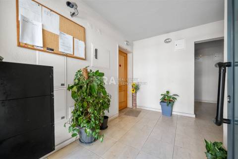 Apartamento T3 Venda em Quinta do Anjo,Palmela