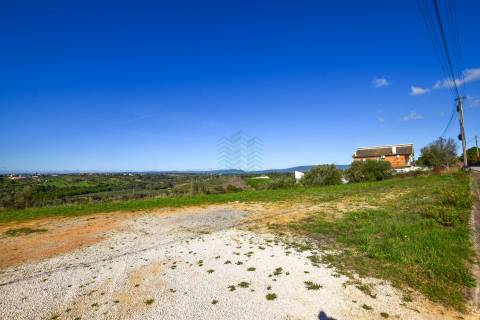Terreno para construção Moradia em Alcorochel - Torres Novas