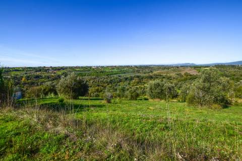 Terreno para construção Moradia em Alcorochel - Torres Novas