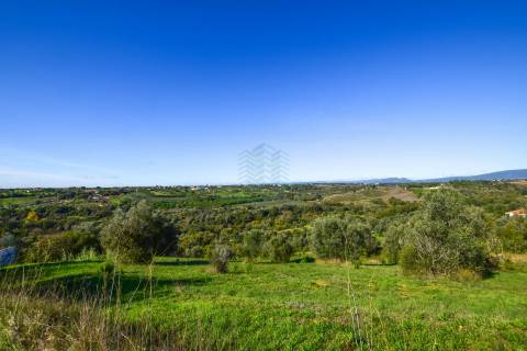 Terreno para construção Moradia em Alcorochel - Torres Novas