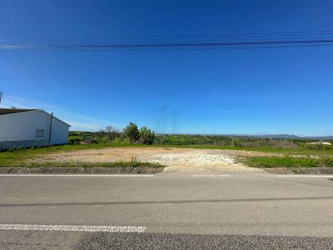 Terreno para construção Moradia em Alcorochel - Torres Novas