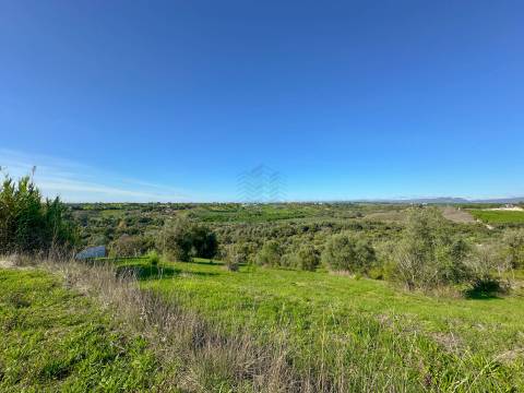 Terreno para construção Moradia em Alcorochel - Torres Novas