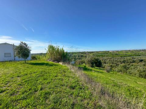 Terreno para construção Moradia em Alcorochel - Torres Novas