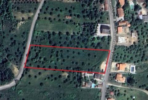 Terreno para construção Moradia em Alcorochel - Torres Novas
