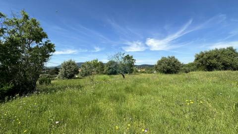 Terreno para construção de moradia , Rendufas, Torres Novas