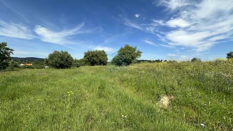 Terreno para construção de moradia , Rendufas, Torres Novas