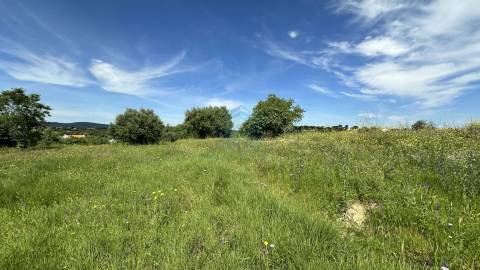 Terreno para construção de moradia , Rendufas, Torres Novas