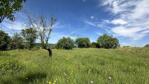 Terreno para construção de moradia , Rendufas, Torres Novas