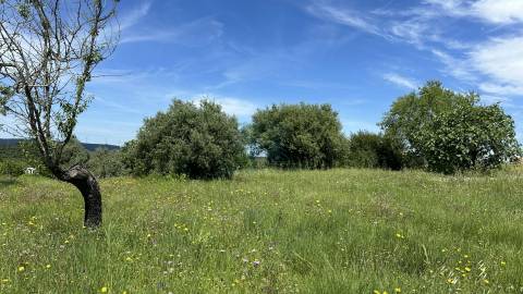 Terreno para construção de moradia , Rendufas, Torres Novas