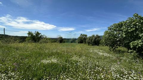 Terreno para construção de moradia , Rendufas, Torres Novas