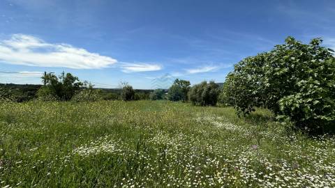 Terreno para construção de moradia , Rendufas, Torres Novas