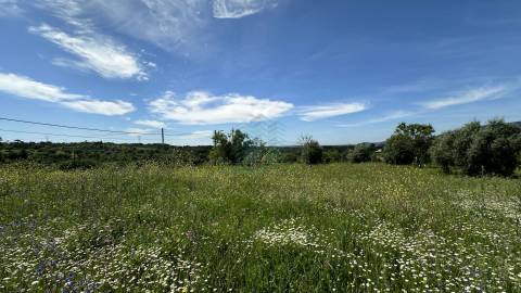 Terreno para construção de moradia , Rendufas, Torres Novas