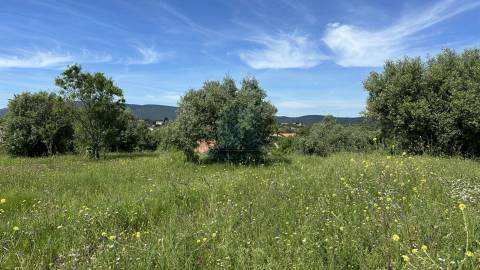 Terreno para construção de moradia , Rendufas, Torres Novas