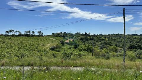 Terreno para construção de moradia , Rendufas, Torres Novas