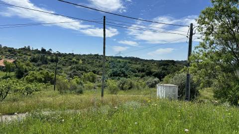 Terreno para construção de moradia , Rendufas, Torres Novas