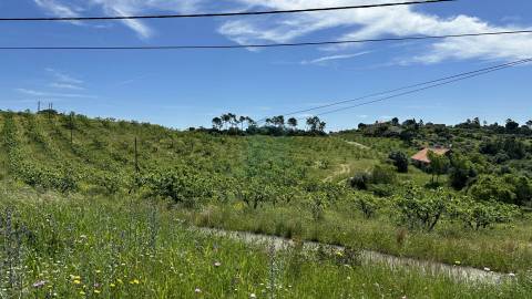 Terreno para construção de moradia , Rendufas, Torres Novas