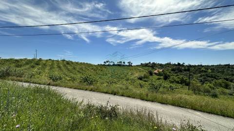 Terreno para construção de moradia , Rendufas, Torres Novas