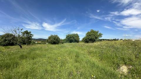 Terreno para construção de moradia , Rendufas, Torres Novas