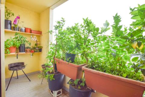 Apartamento T3 com garagem em Torres Novas