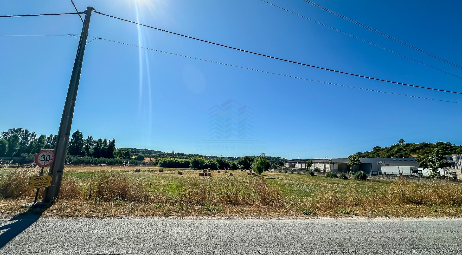 Terreno com 19.640 m² em Alcanena – Oportunidade!