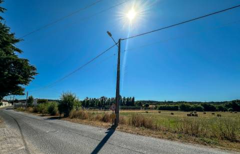 Terreno com 19.640 m² em Alcanena – Oportunidade!