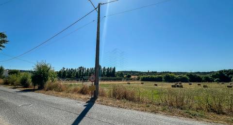 Terreno com 19.640 m² em Alcanena – Oportunidade!