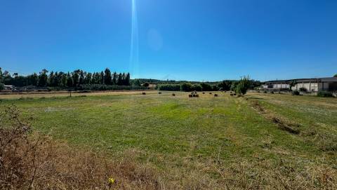 Terreno com 19.640 m² em Alcanena – Oportunidade!