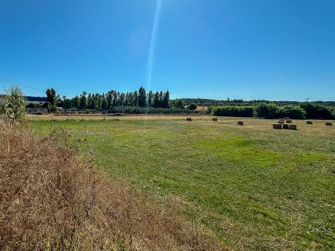 Terreno com 19.640 m² em Alcanena – Oportunidade!