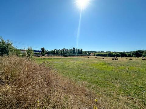 Terreno com 19.640 m² em Alcanena – Oportunidade!