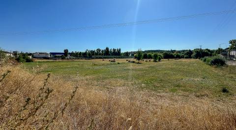 Terreno com 19.640 m² em Alcanena – Oportunidade!